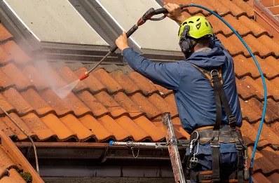 Démoussage et hydrofuge de toiture à Mendionde